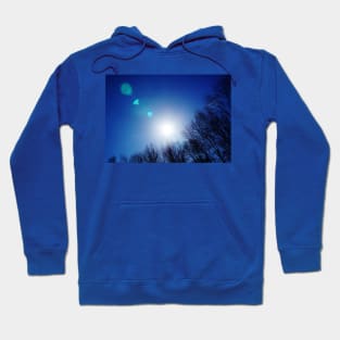 Sun Shining Above Leafless Trees Hoodie